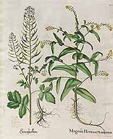  no thumbnail available