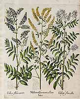  no thumbnail available