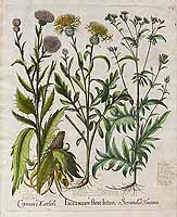  no thumbnail available