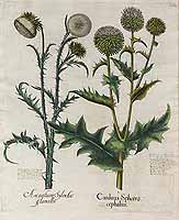  no thumbnail available