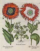  no thumbnail available