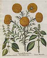  no thumbnail available