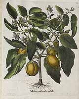  no thumbnail available