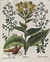  no thumbnail available