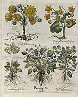  no thumbnail available