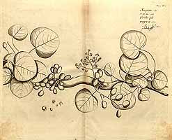  no thumbnail available