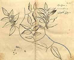  no thumbnail available