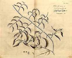  no thumbnail available