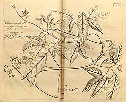  no thumbnail available