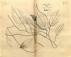  no thumbnail available