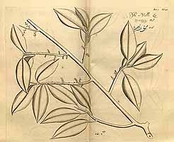  no thumbnail available