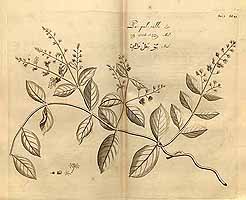  no thumbnail available