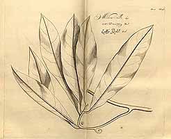  no thumbnail available