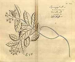  no thumbnail available