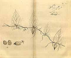  no thumbnail available