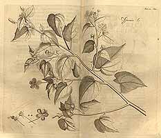  no thumbnail available