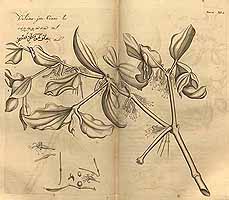  no thumbnail available