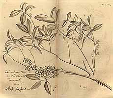  no thumbnail available