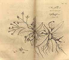  no thumbnail available