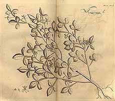  no thumbnail available