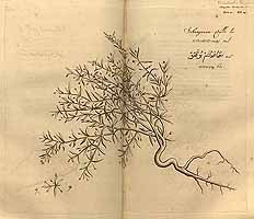  no thumbnail available