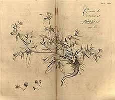  no thumbnail available