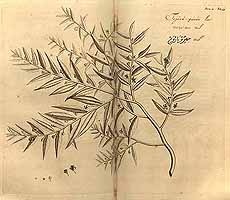  no thumbnail available