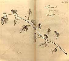  no thumbnail available