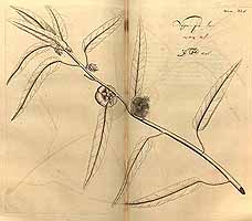  no thumbnail available