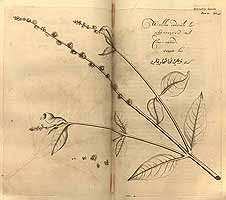  no thumbnail available