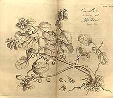  no thumbnail available