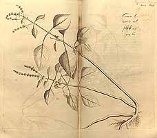  no thumbnail available