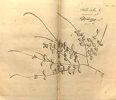  no thumbnail available