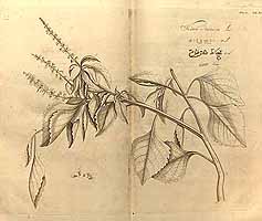  no thumbnail available