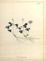  no thumbnail available