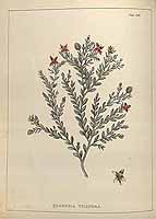  no thumbnail available