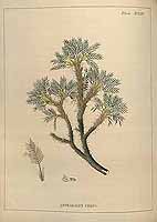  no thumbnail available