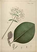  no thumbnail available