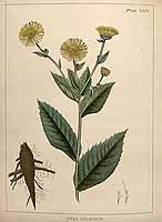  no thumbnail available