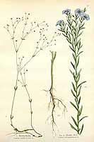  no thumbnail available