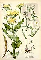  no thumbnail available