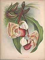  no thumbnail available