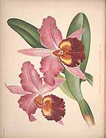  no thumbnail available