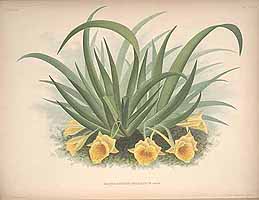  no thumbnail available