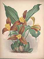  no thumbnail available