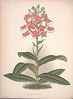  no thumbnail available