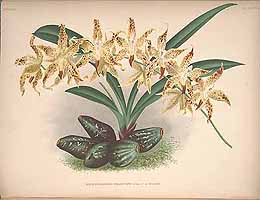  no thumbnail available