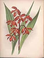  no thumbnail available