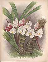  no thumbnail available