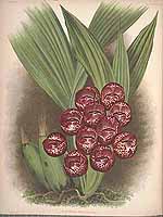  no thumbnail available